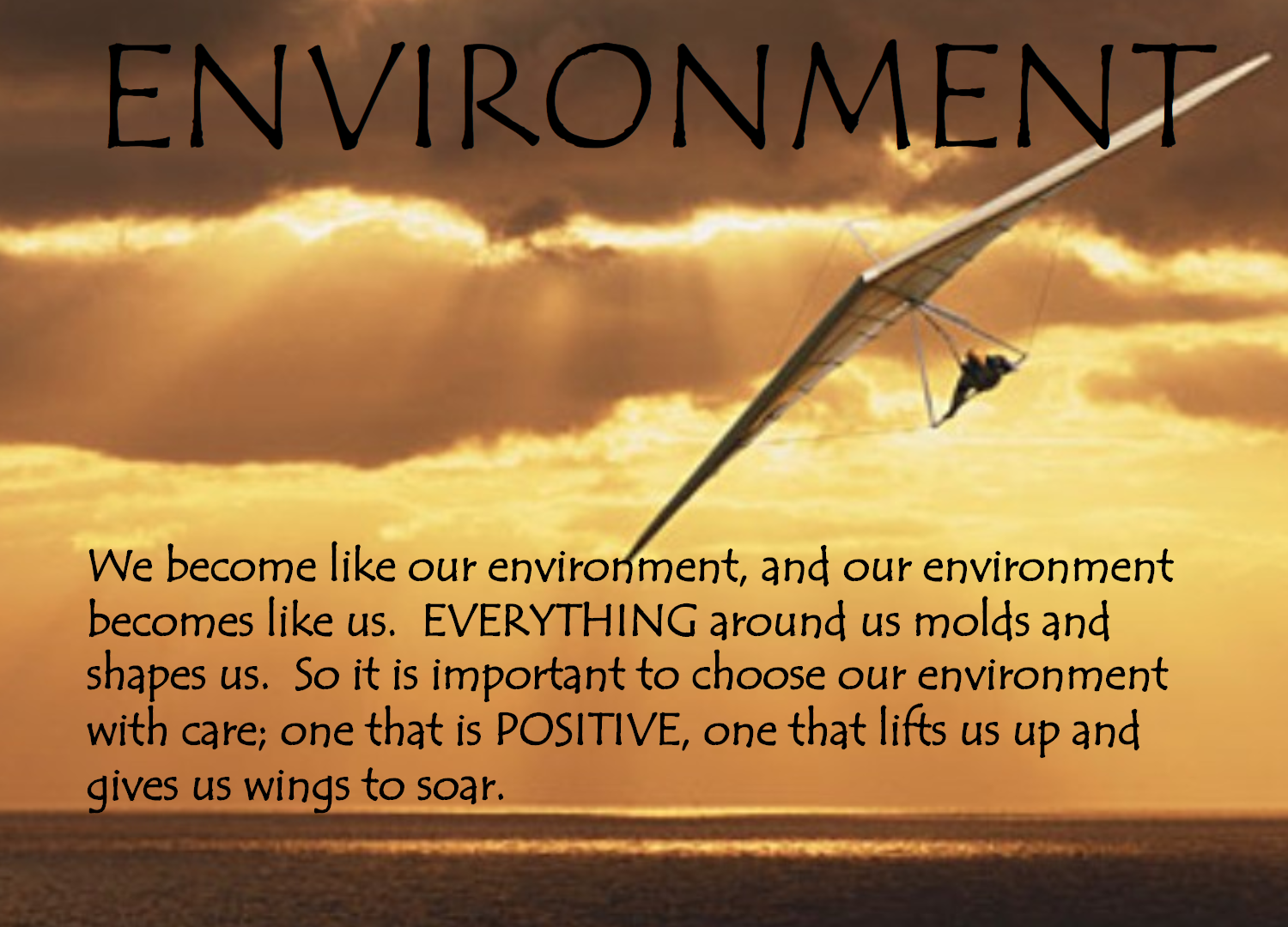How does environment shape you?